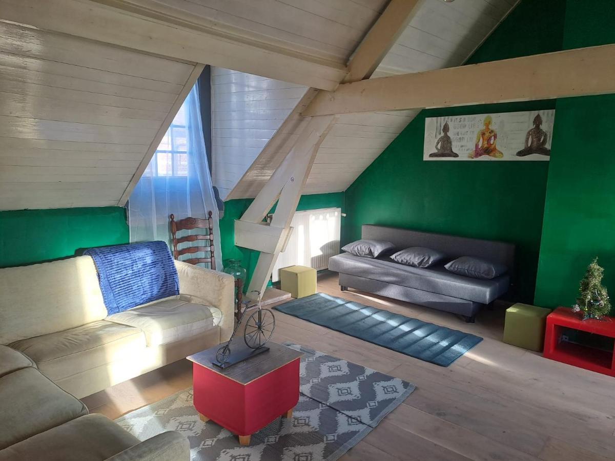 The Green Retromodern Duplex Apartment Antwerp